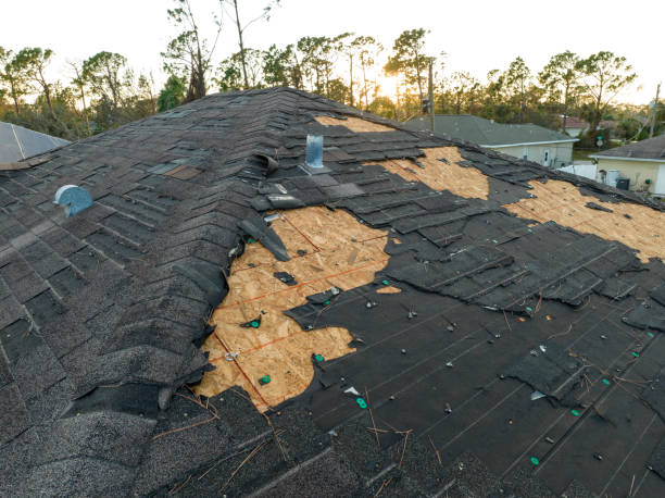 Best Gutter Installation and Repair  in Marshall, MN