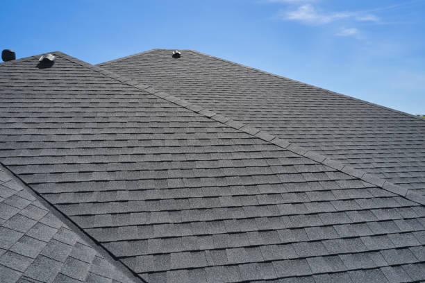 Best Skylight Installation and Repair  in Marshall, MN
